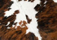 Exotic Tricolor Cowhide Rug (Size: 200 X 170 CM)