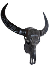 Authentic Antique Grey Buffalo Skull