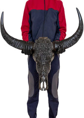 Authentic Dark Grey Hand Carved Buffalo Skull