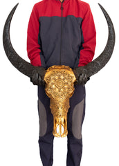 Authentic Antique Gold Hand Carved Buffalo Skull & Horns
