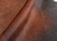 Reddish Cowhide Rug (Size: 240 x 210 CM)