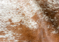 Salt Pepper Tri-Color Cowhide Rug (Size: 250 x 210 CM)