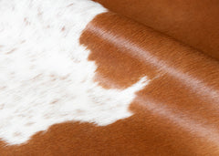 Brown And White Cowhide Rug (Size: 230 x 190 CM)