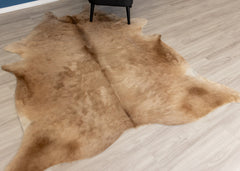 Chocolate Tan Cowhide Rug (Size: 230 X 200 CM)