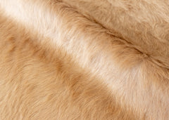 Chocolate Tan Cowhide Rug (Size: 230 X 200 CM)