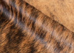 Dark Brindle Cowhide Rug (Size: 230 X 200 CM)