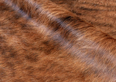 Dark Brindle Cowhide Rug (Size: 250 X 230 CM)