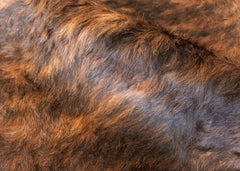 Dark White Spine Belly Brindle Cowhide Rug (Size: 230 X 200 CM)
