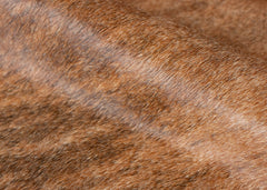 Medium Brindle Cowhide Rug (Size: 240 X 210 CM)