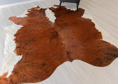 Medium White Spine Belly Brindle Cowhide Rug (Size: 240 X 230 CM) CHR1929