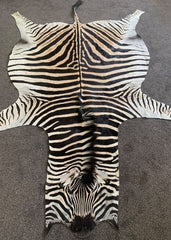 zebra hide rug 