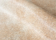 Beige And White Cowhide Rug (Size: 220 X 170 CM)