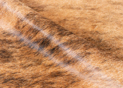 Medium Brindle Cowhide Rug (Size: 240 X 220 CM)