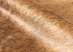 Chocolate Tan Cowhide Rug (Size: 230 X 180 CM)