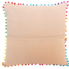 Hand Embroidered Cushion