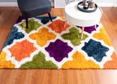 Multi-Colour Modern Shaggy Rug