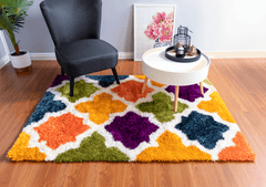 Multi-Colour Modern Shaggy Rug