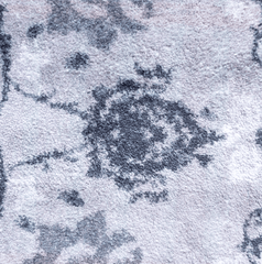 Oriental Style Grey Area Rug