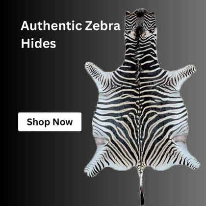 real zebra skin rug 