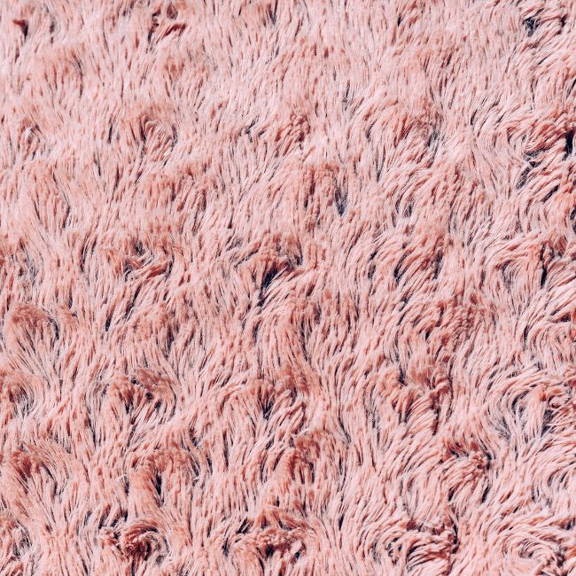 Pink Rugs