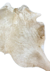 (Rare) Palomino Cowhide Rug (Size: 240 X 210 CM) CHR1909