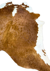 Hereford Brown And White Cowhide Rug (Size: 250 x 220 CM) CHR1919