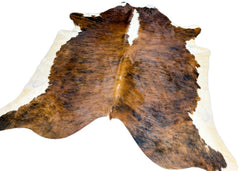 Medium White Spine Belly Brindle Cowhide Rug (Size: 250 X 210 CM) CHR1921