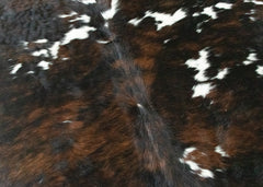 Exotic Tricolor Cowhide Rug (Size: 210 X 200 CM)