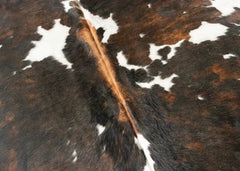 Exotic Tricolor Cowhide Rug (Size: 250 X 190 CM)