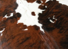 Exotic Tricolor Cowhide Rug (Size: 210 X 200 CM)