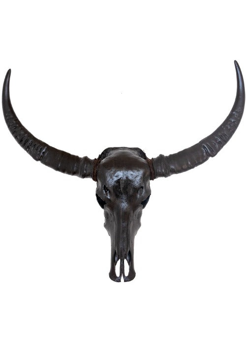 Authentic Midnight Black Buffalo Skull