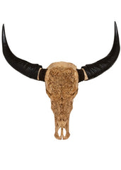 Authentic Antique Beige Hand Carved Buffalo Skull