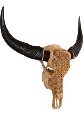 Authentic Antique Beige Hand Carved Buffalo Skull