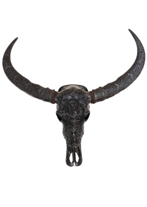 Authentic Midnight Black Hand Carved Buffalo Skull And Horns