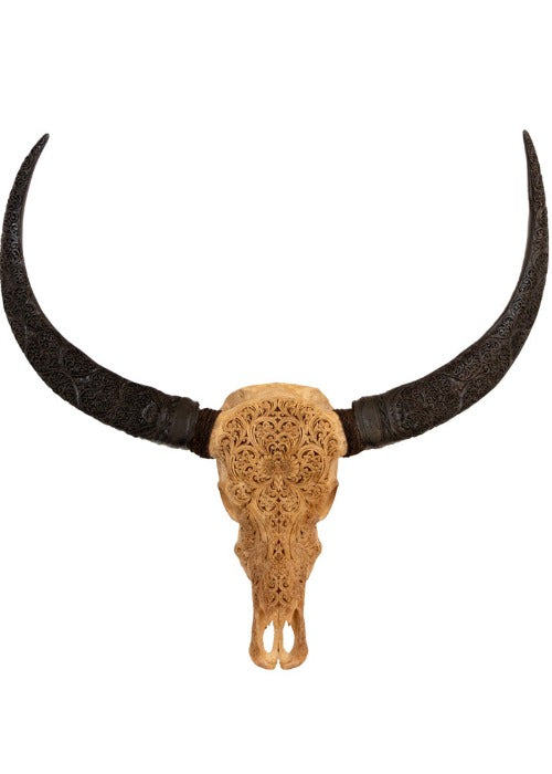 Authentic Antique Beige Hand Carved Buffalo Skull And Horns