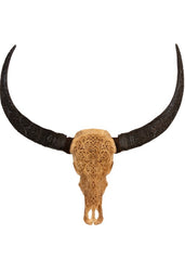 Authentic Antique Beige Hand Carved Buffalo Skull And Horns