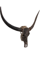 Authentic Dark Grey Hand Carved Buffalo Skull And Horns