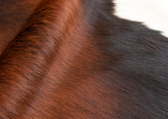 Reddish Cowhide Rug (Size: 240 x 230 CM)