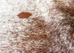 Salt Pepper Tri-Color Cowhide Rug (Size: 240 x 180 CM)