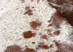 Salt Pepper Tri-Color Cowhide Rug (Size: 230 x 190 CM)