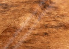 Medium Brindle Cowhide Rug (Size: 250 X 220 CM)