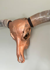 Authentic Bronze Longhorn Skull