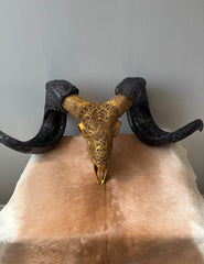 Authentic Hand Carved Ram Skull