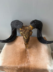 Authentic Hand Carved Ram Skull