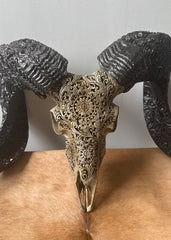 Authentic Hand Carved Ram Skull