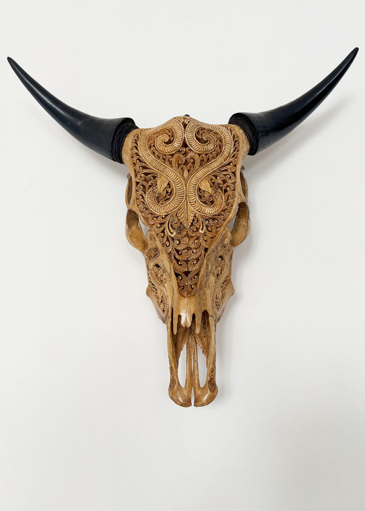Authentic Cow Hand Carved Skull – Rug House NZ