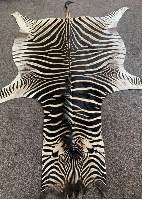 Vebra Hide Real Zebra Skin Hide Rug (Premium Quality A Grade) – Rug House NZ