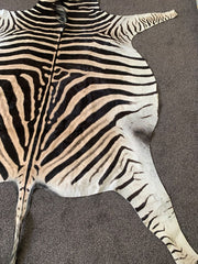 Real Zebra Skin Hide Rug (Premium Quality A Grade)