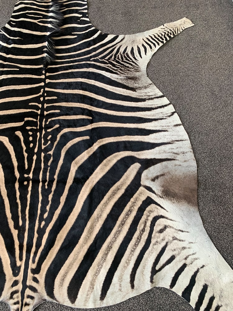 Vebra Hide Real Zebra Skin Hide Rug (Premium Quality A Grade) – Rug House NZ