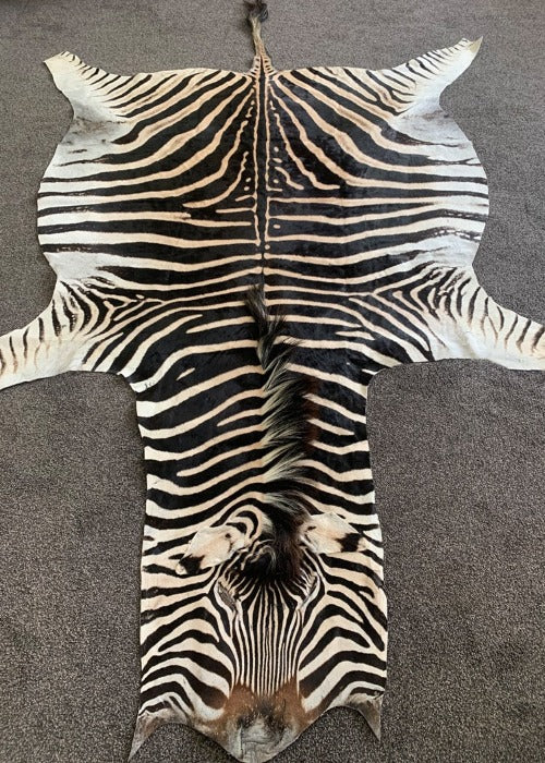 zebra hide rug